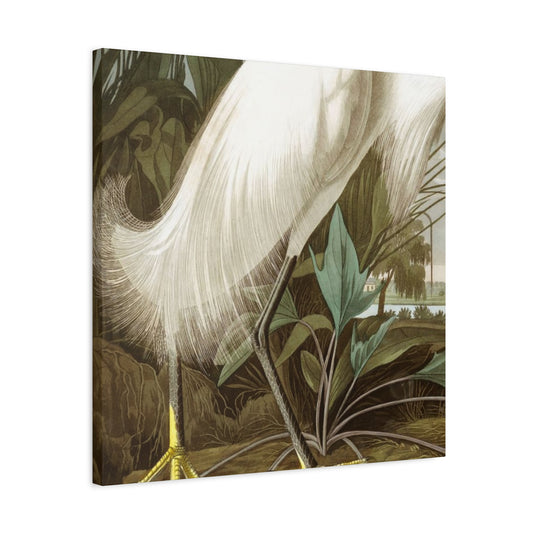 Golden Feet Herons Wall Art & Canvas Prints