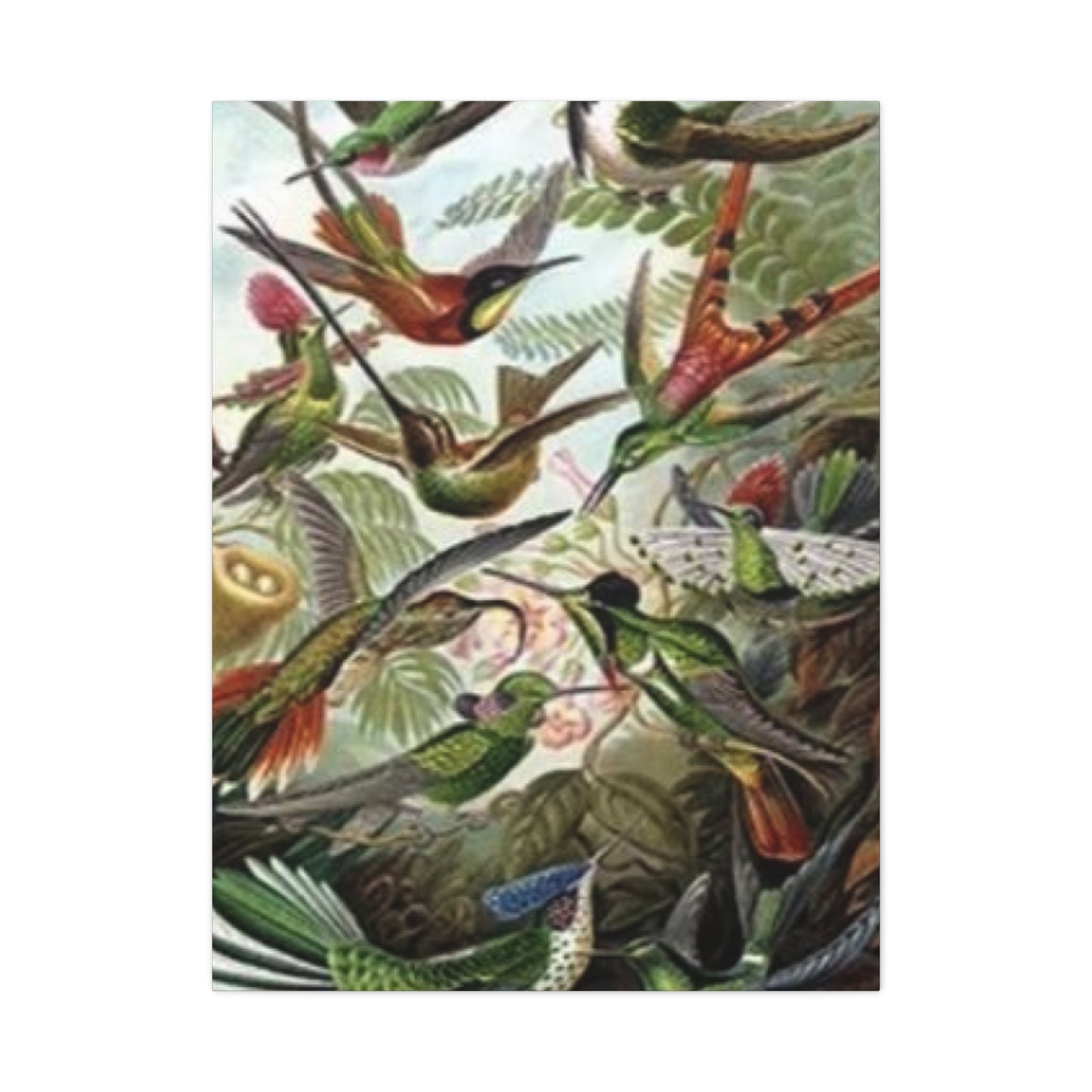 Humming Birds Painting Wall Art & Canvas Prints