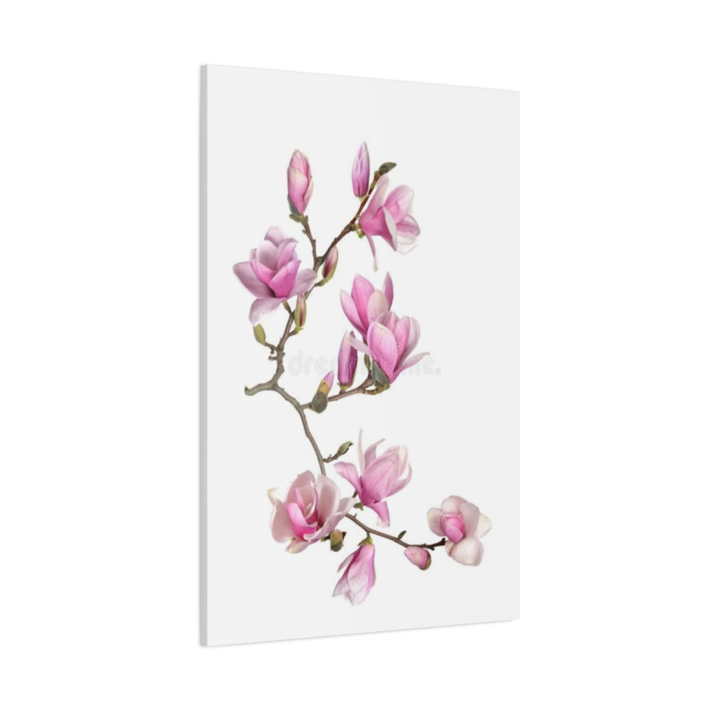 Beautiful Pink Magnolia Flower Painting Wall Art & Canvas Prints