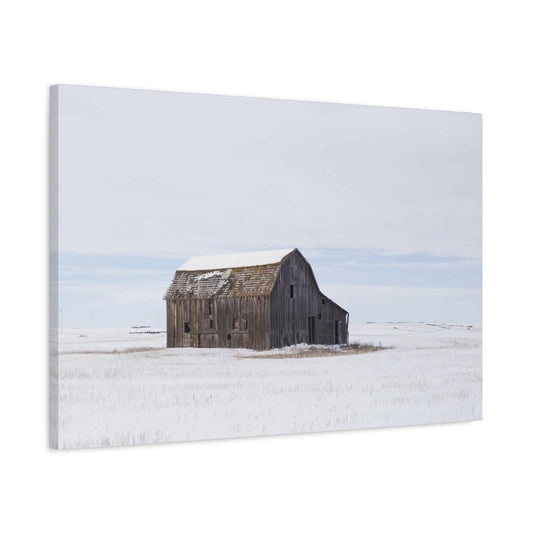 Snowy Wall Art & Canvas Prints