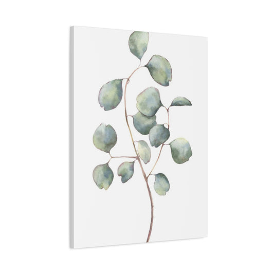 Eucalyptus Stem Wall Art & Canvas Prints