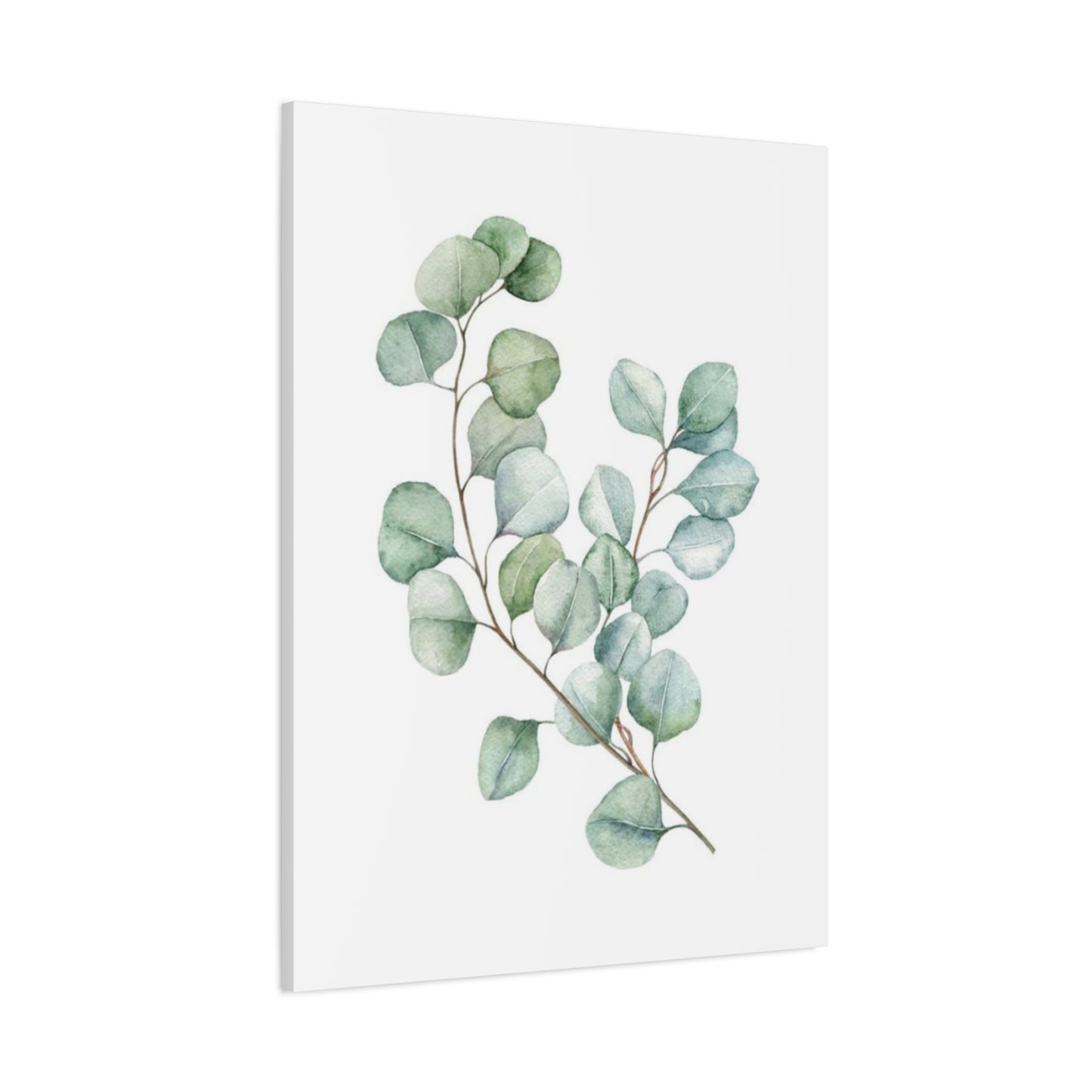 Eucalyptus Stem Wall Art & Canvas Prints