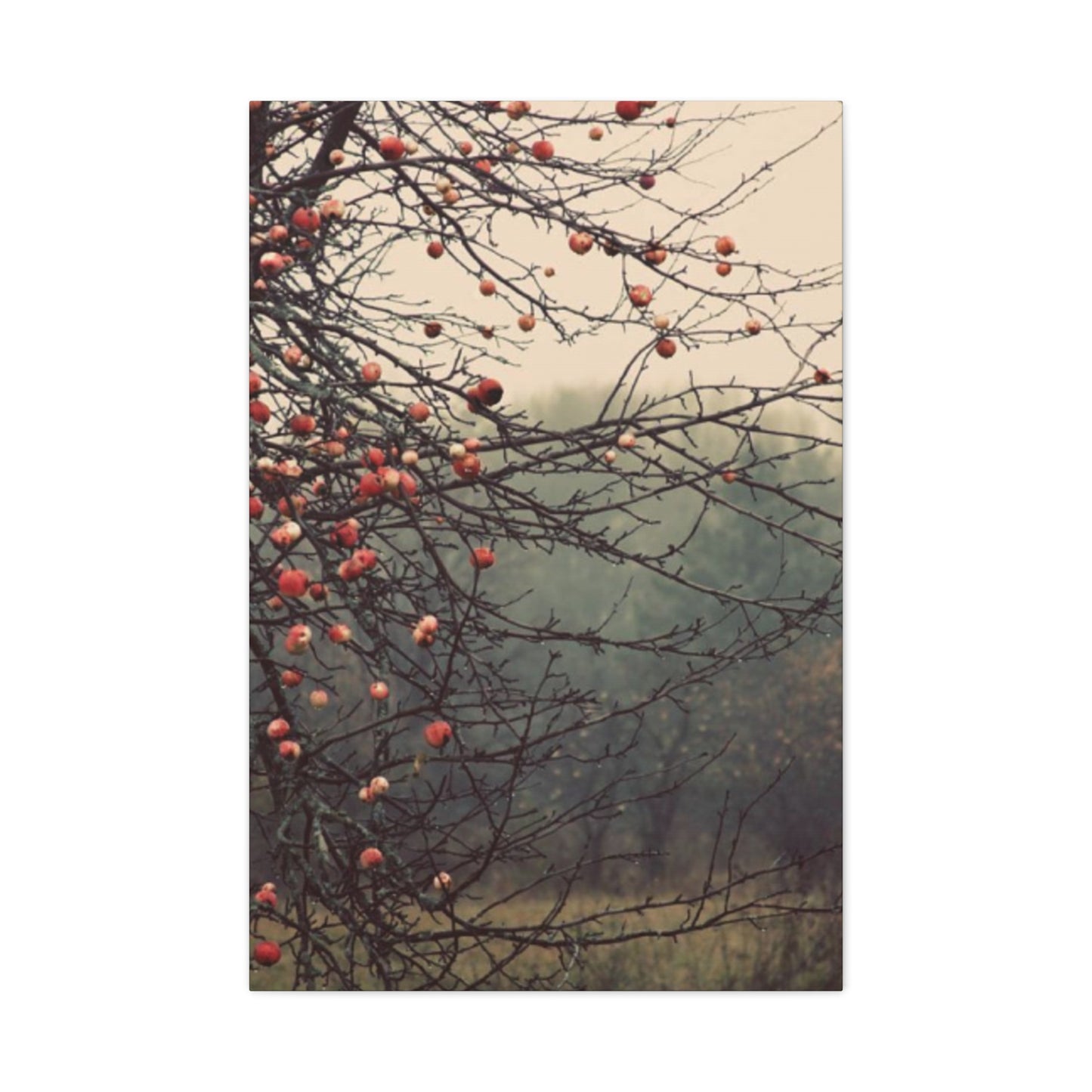 Fruit Tree Fine Wall Art & Canvas Prints