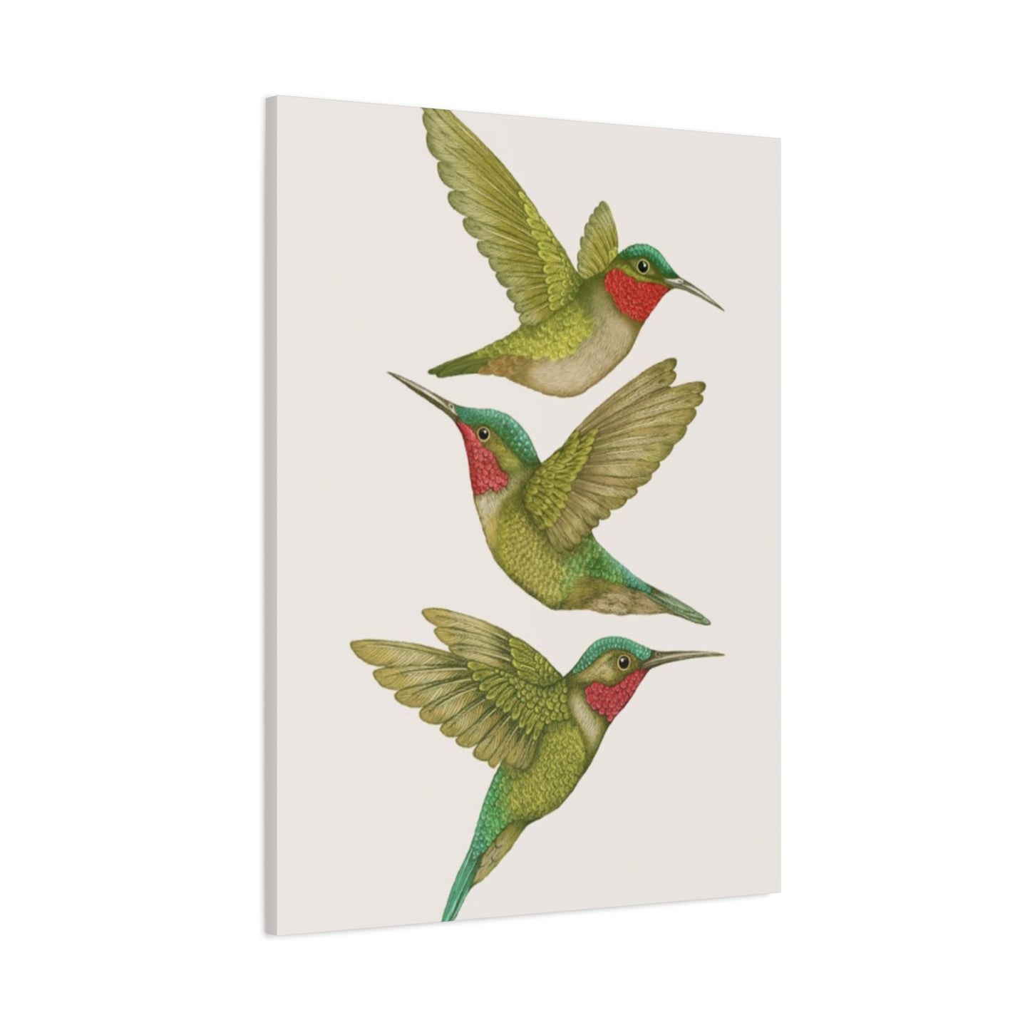 Three Green Humming Bird Painting Wall Art & Canvas Prints