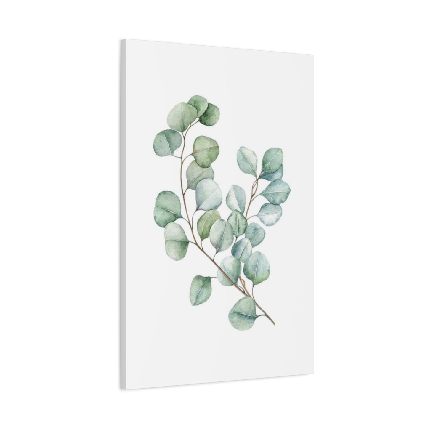 Eucalyptus Stem Wall Art & Canvas Prints