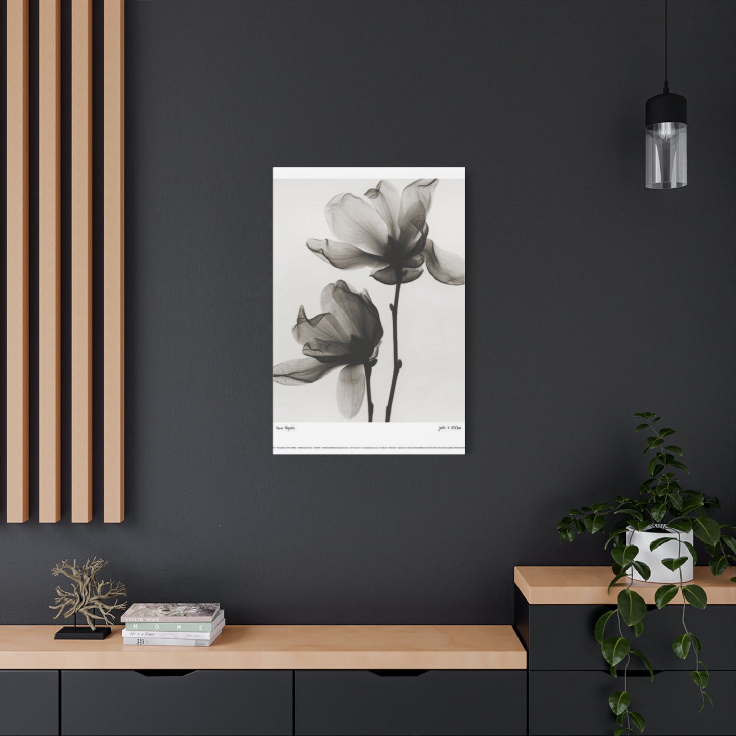 Beautiful Magnolia Flower X Ray Photo Wall Art & Canvas Prints