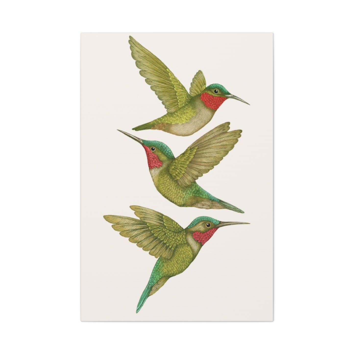 Three Green Humming Bird Painting Wall Art & Canvas Prints