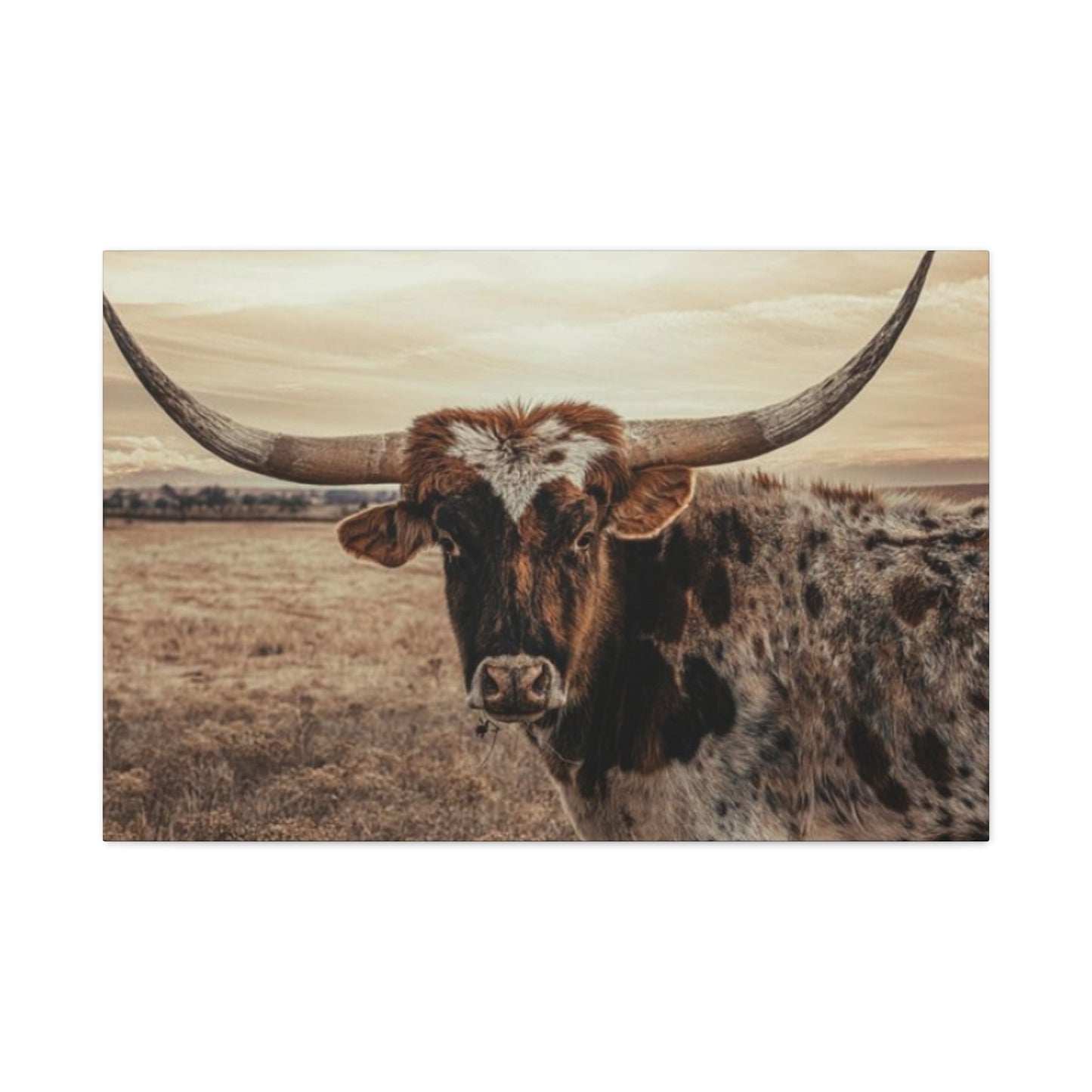 Wild Straight Long Horn Wall Art & Canvas Prints