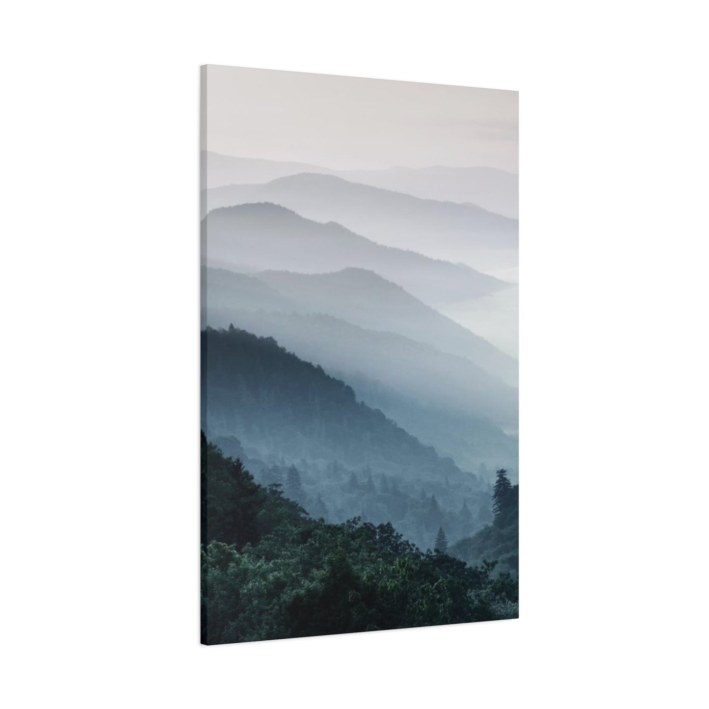 Tropical Forest View Wall Art & Canvas Prints