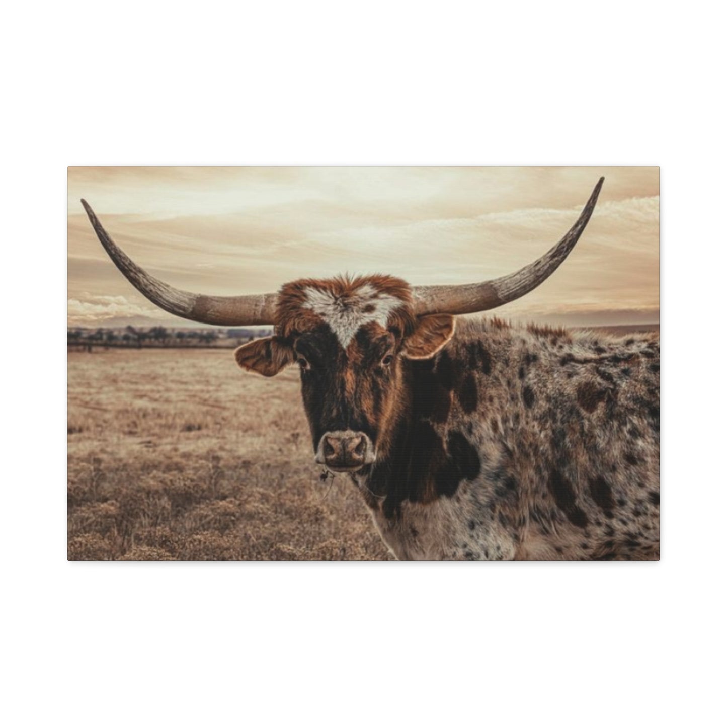 Wild Straight Long Horn Wall Art & Canvas Prints