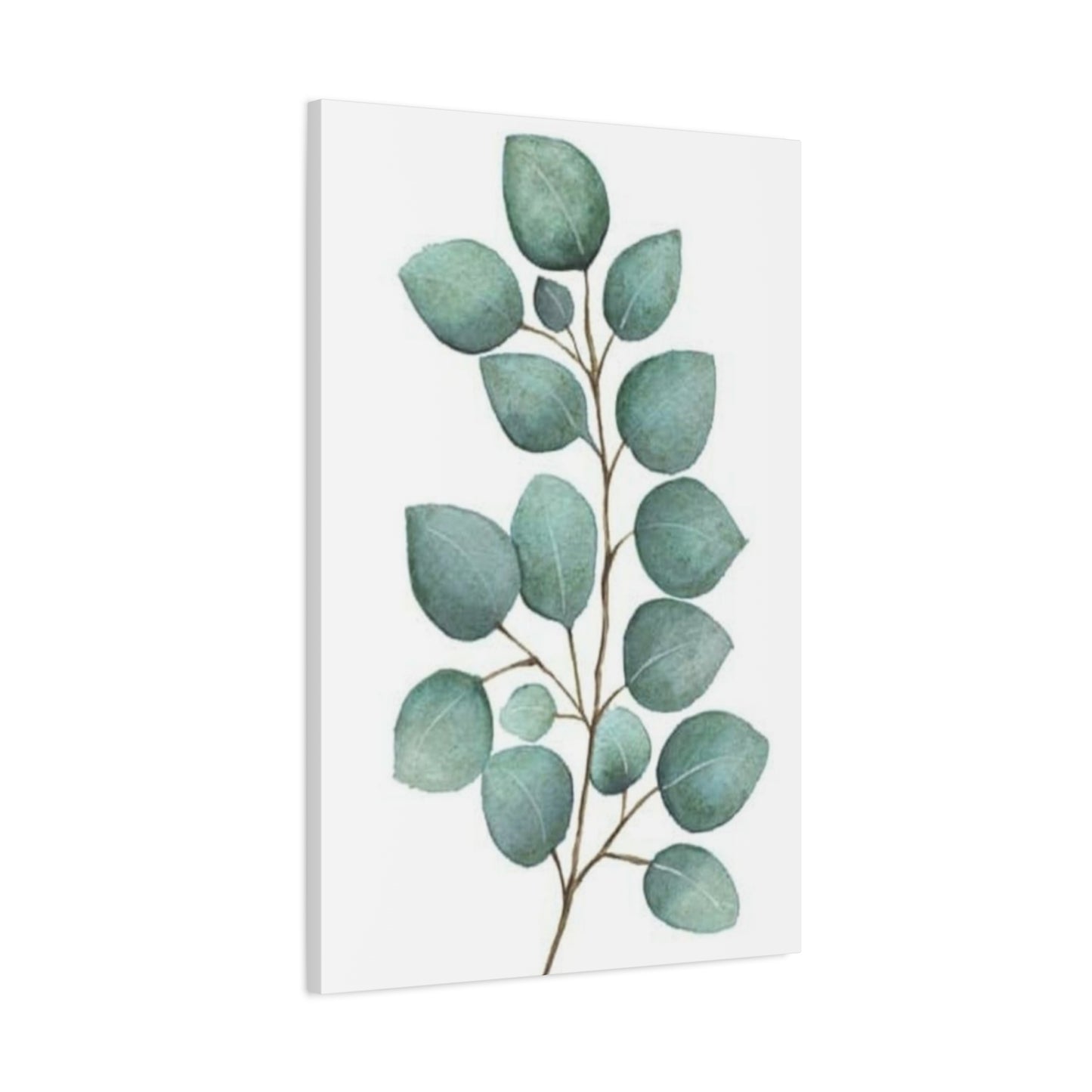 Eucalyptus Stem Wall Art & Canvas Prints