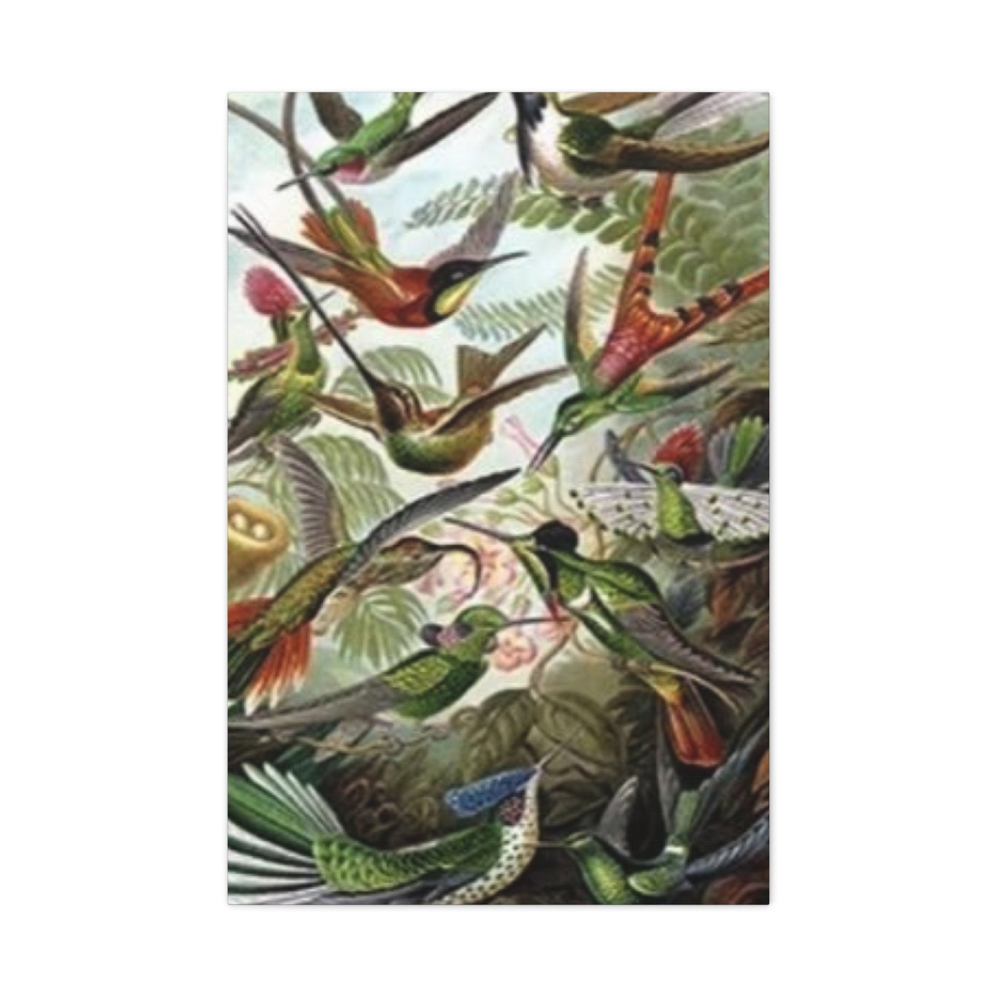 Humming Birds Painting Wall Art & Canvas Prints