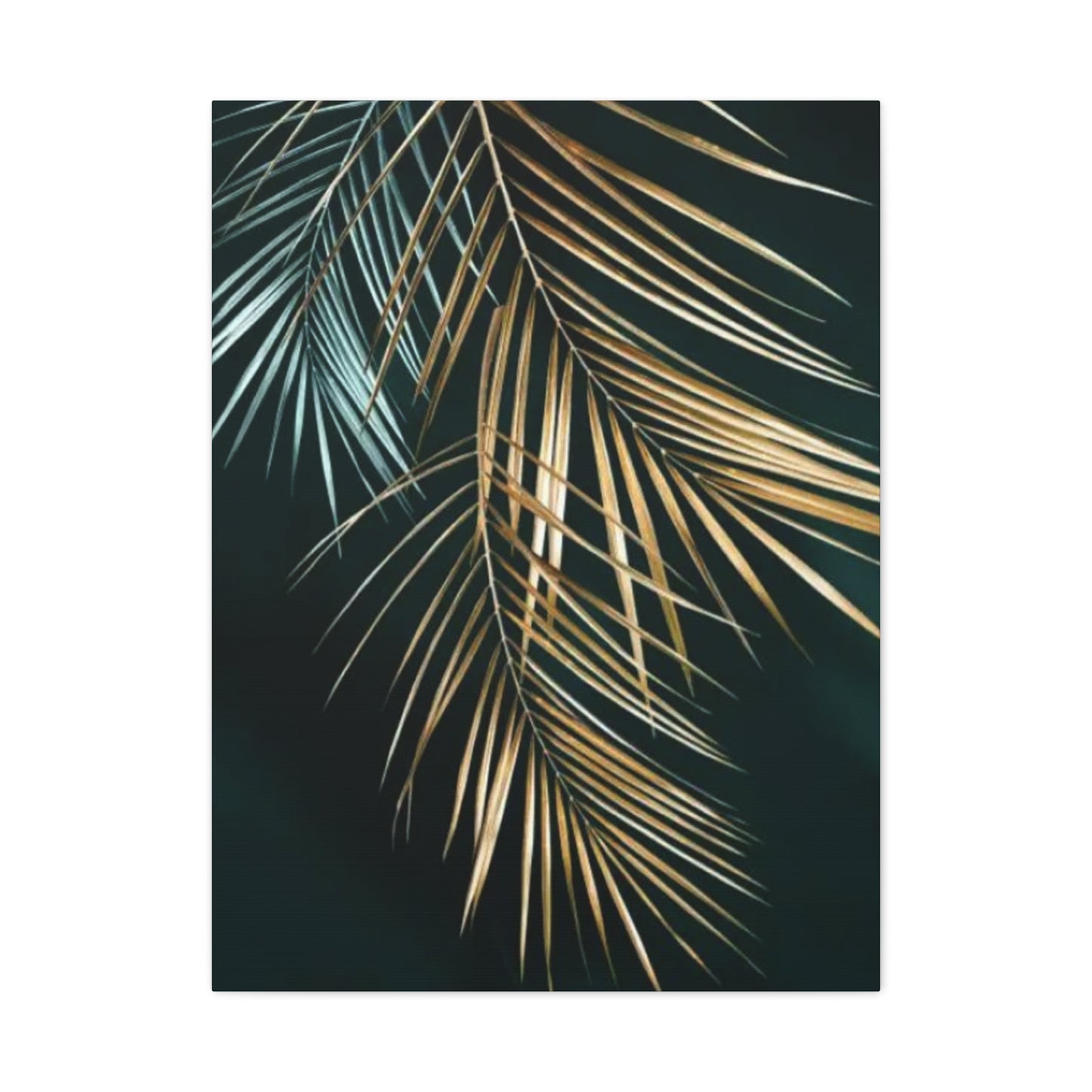 Golden Grass Wall Art & Canvas Prints