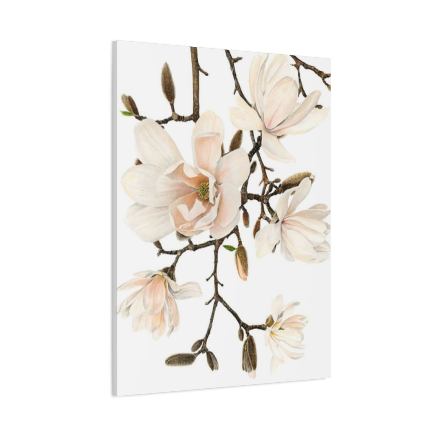 Pink Magnolia Flower Painting Wall Art & Canvas Prints