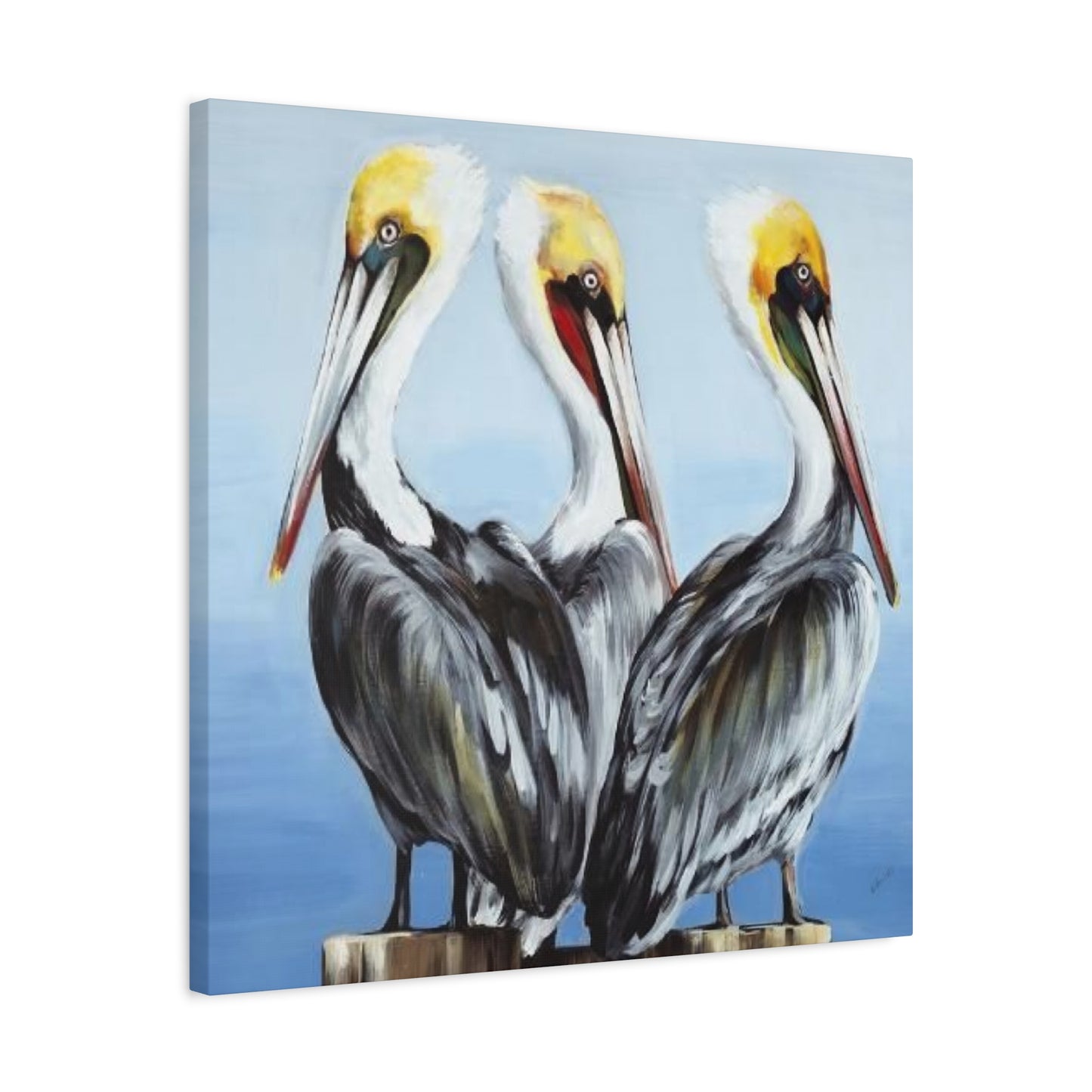 Three Pelican Family Poster Wall Art & Canvas Prints