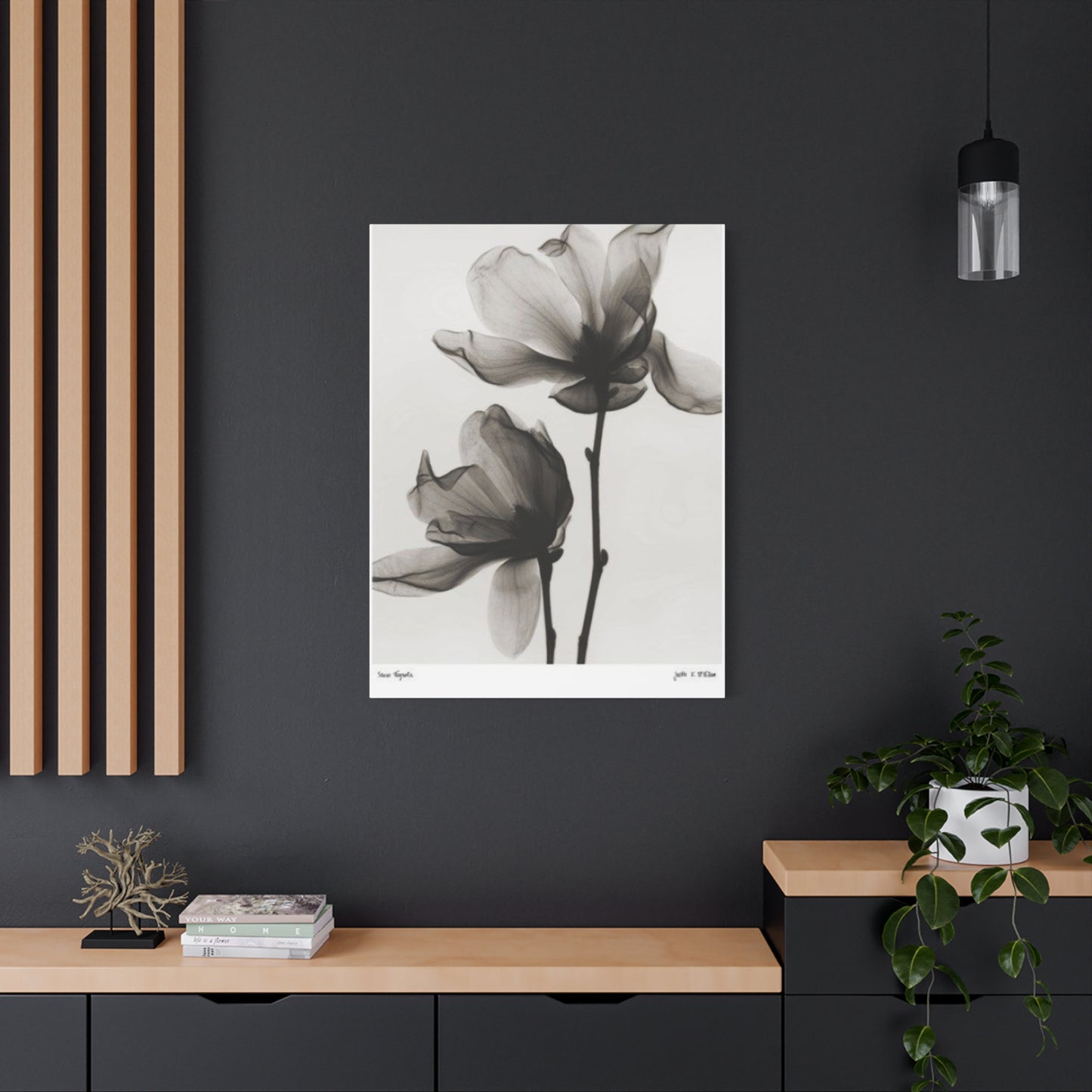 Beautiful Magnolia Flower X Ray Photo Wall Art & Canvas Prints