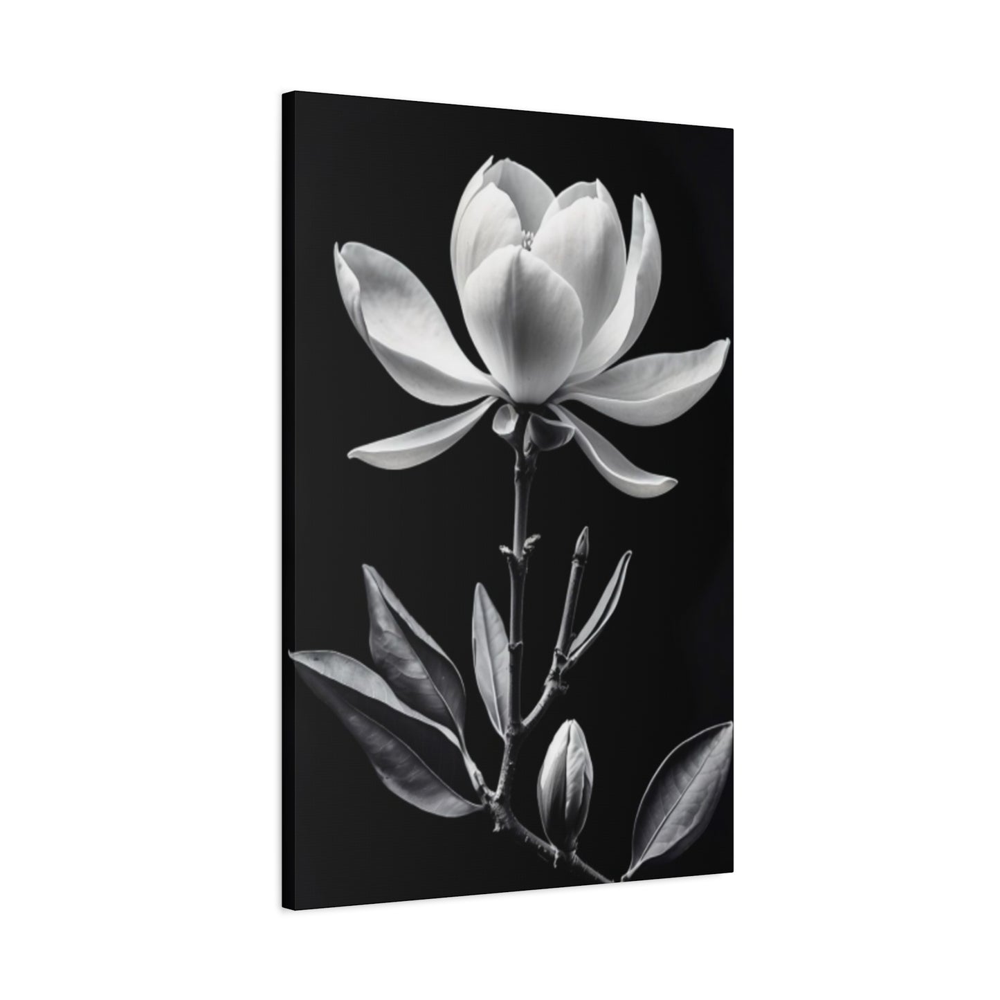 Monochrome Magnolia Flower Plant Wall Art & Canvas Prints