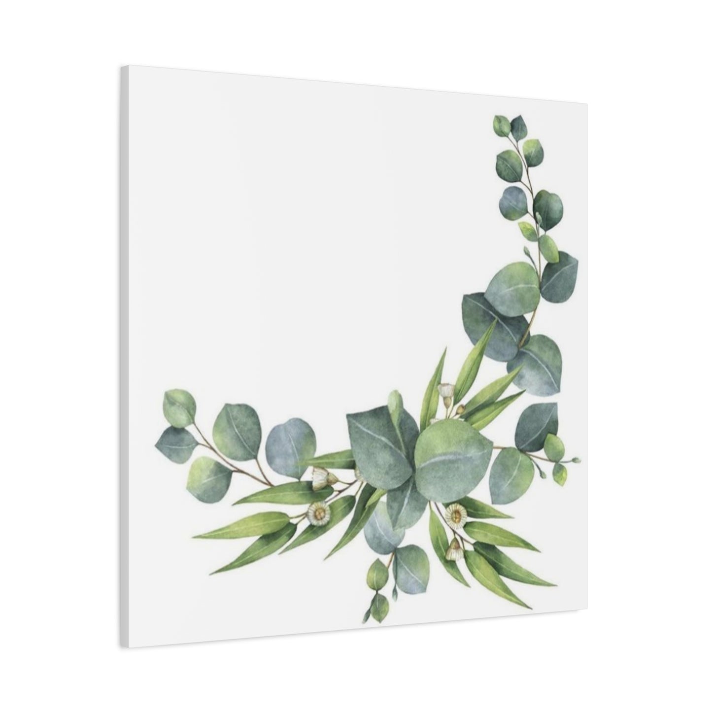 Flower of Eucalyptus Wall Art & Canvas Prints