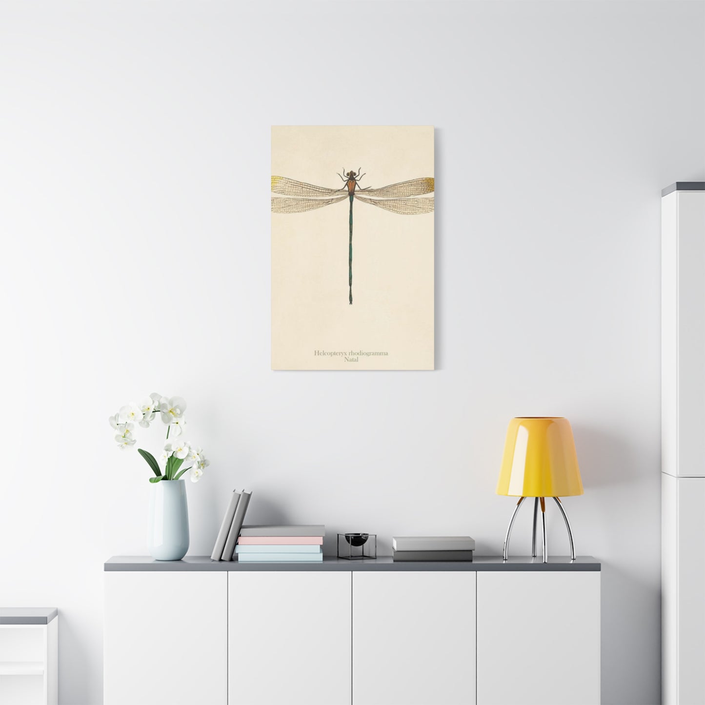 Long Tail Dragonfly Wall Art & Canvas Prints