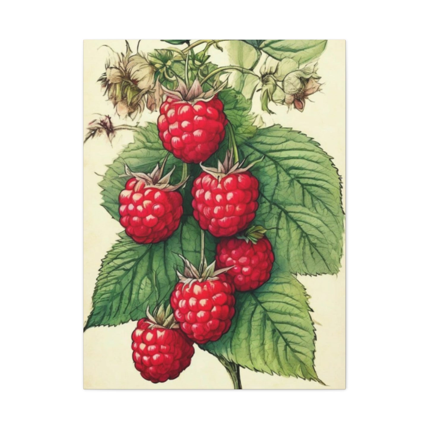 Strawberry Wall Art & Canvas Prints