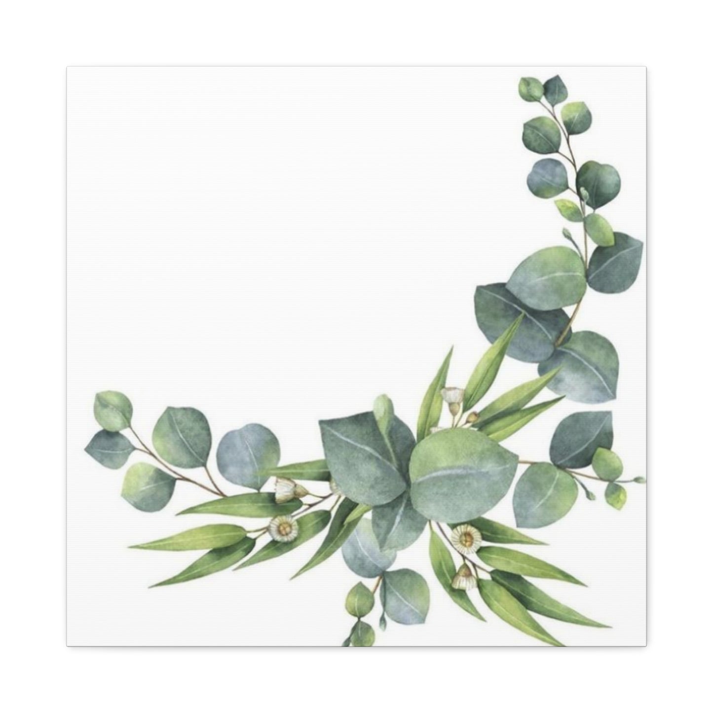 Flower of Eucalyptus Wall Art & Canvas Prints