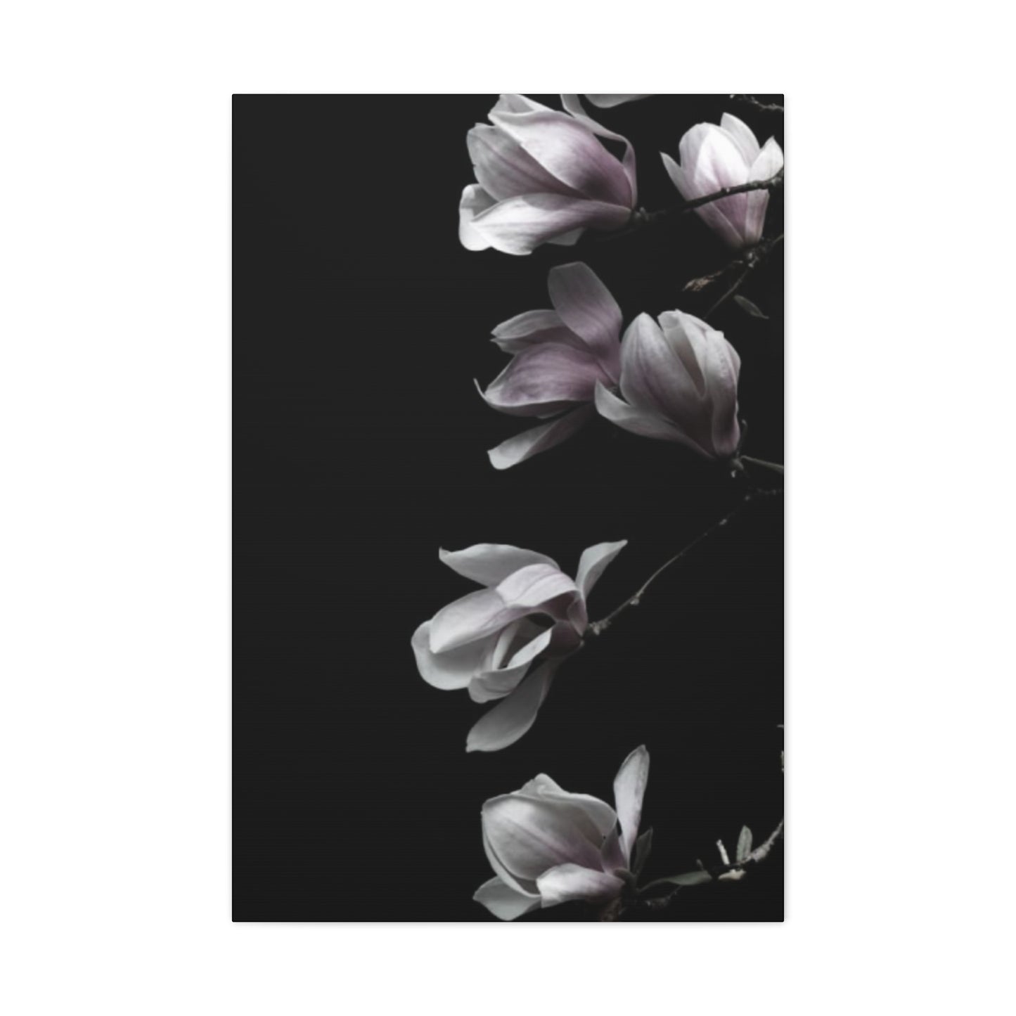 Pink Magnolia Flower with Painting Wall Art & Canvas Prints