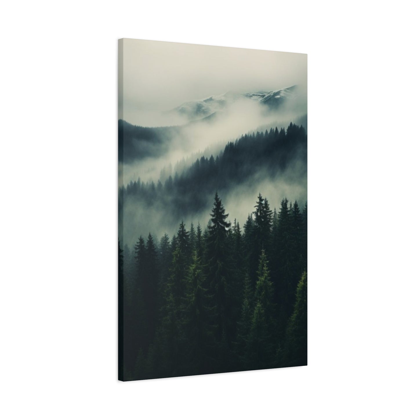 Tropical rain Forest Wall Art & Canvas Prints