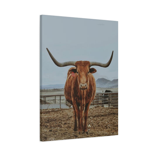 Wild Brown Buffalo Longhorn Wall Art & Canvas Prints