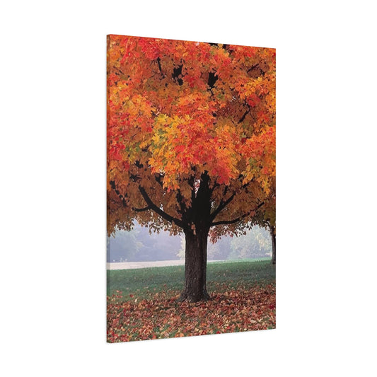 Trees Wall Art & Canvas Prints