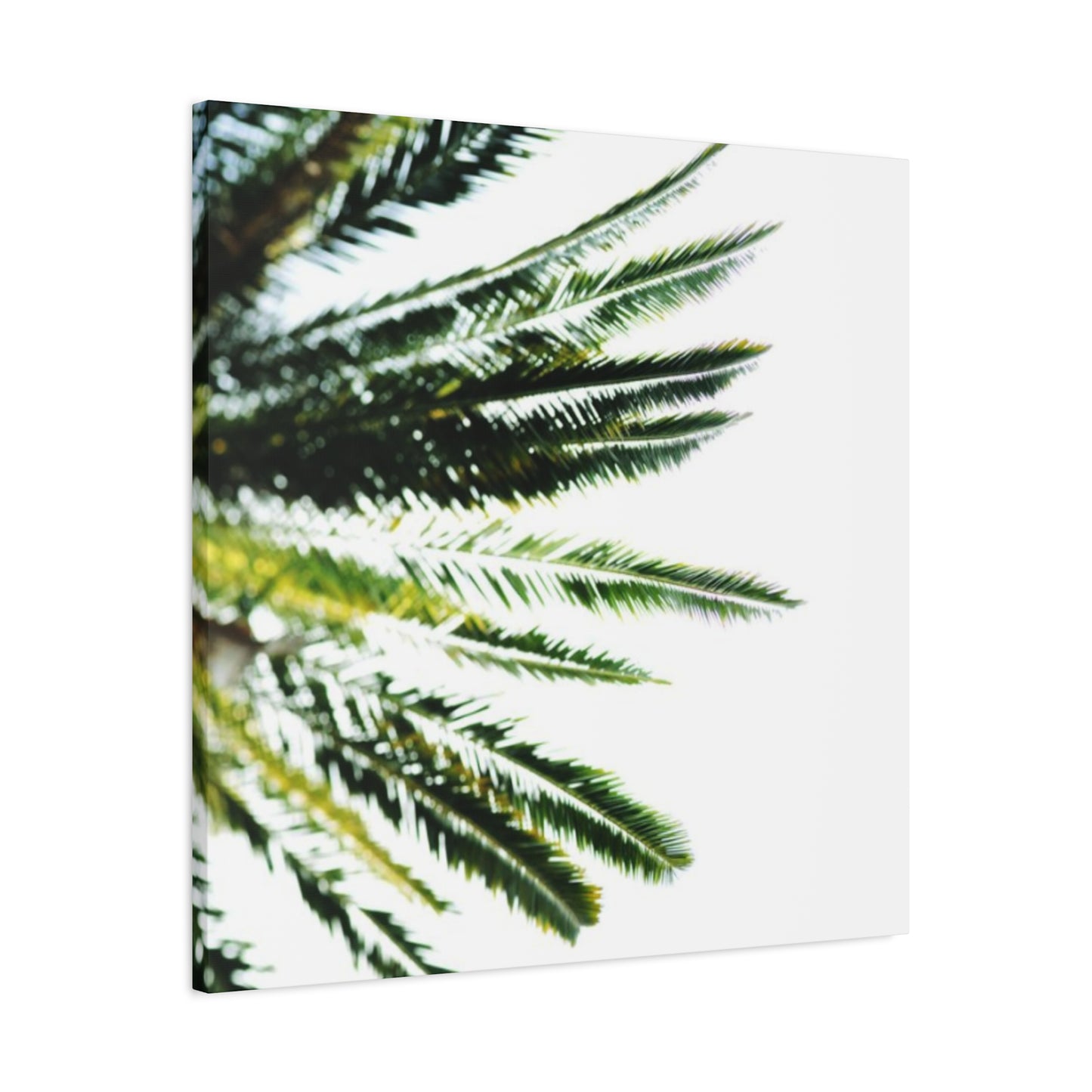 Palm Tree Leaves Wall Art & Canvas Prints