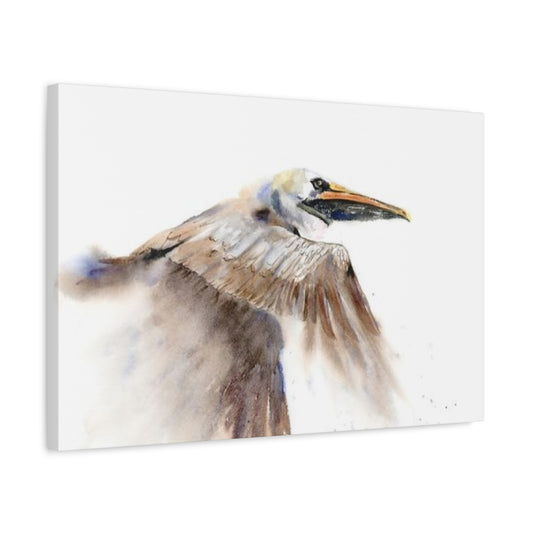 Long Beak Flying Pelican Wall Art & Canvas Prints