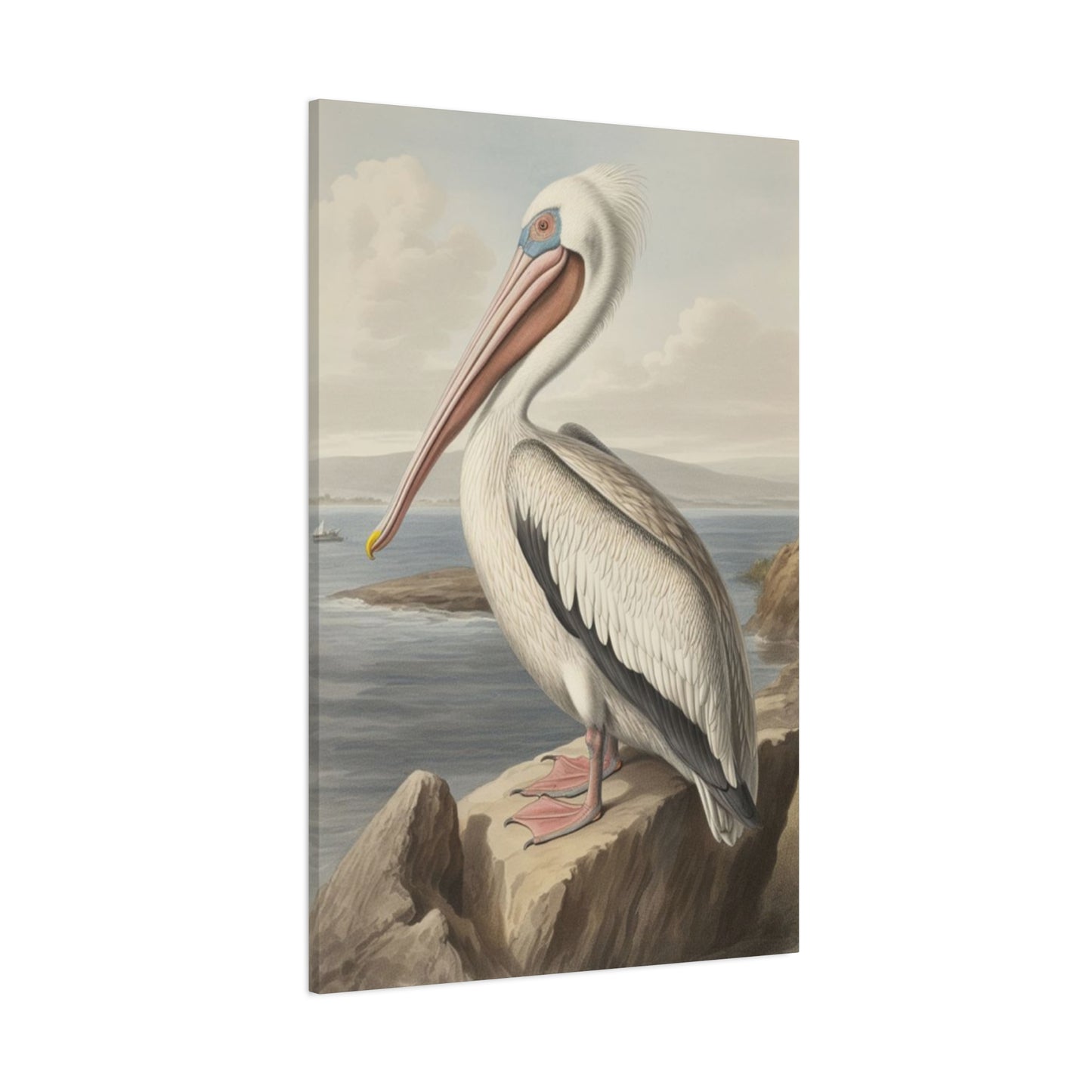 Long Beak Pelican Sitting On Cliff Wall Art & Canvas Prints