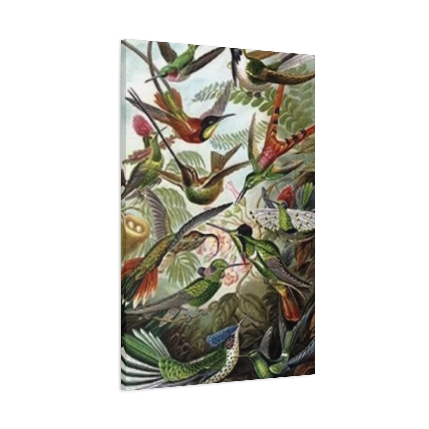 Humming Birds Painting Wall Art & Canvas Prints