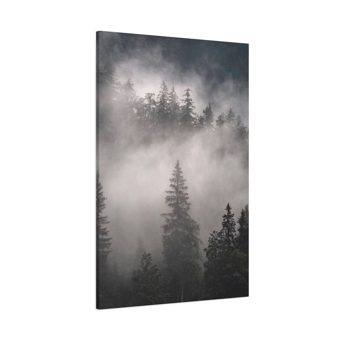 Tropical Forest Wall Art & Canvas Prints