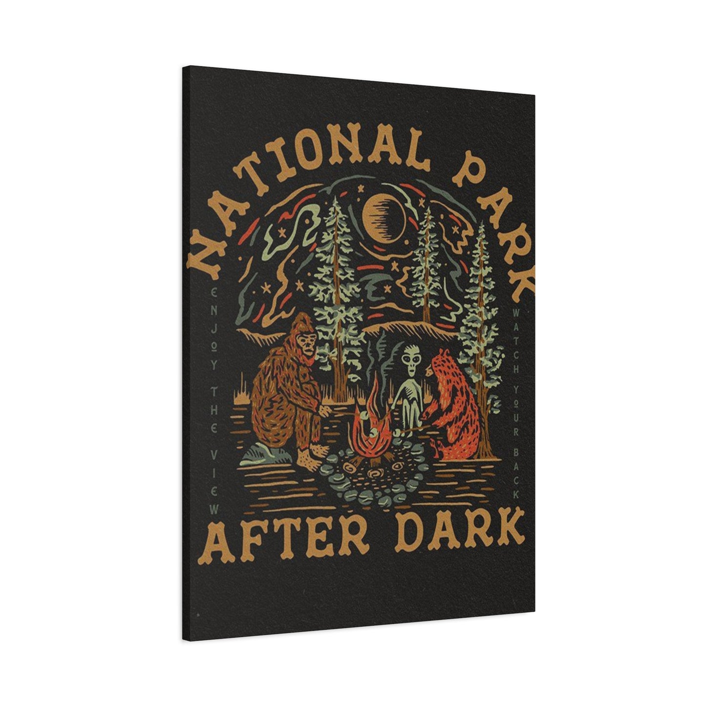 National Park After Dark Wall Art & Canvas Prints