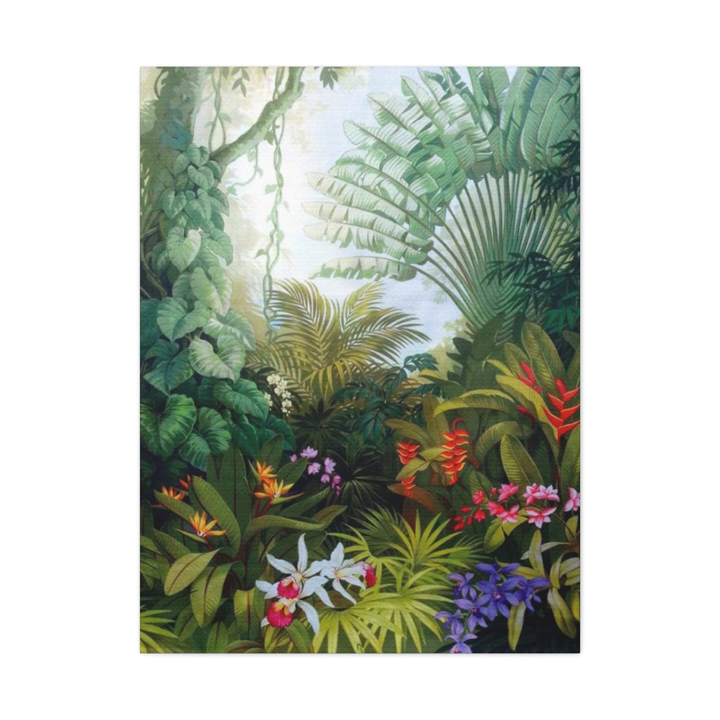 Dense Forest Wall Art & Canvas Prints