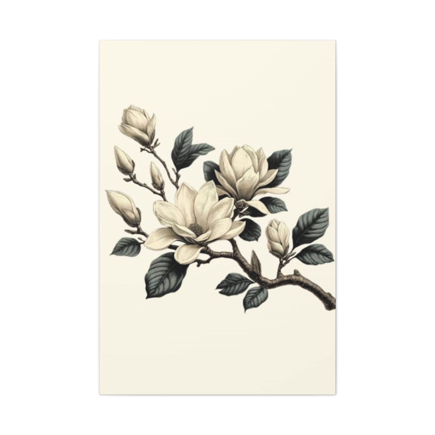 White Magnolia Flower Painting Wall Art & Canvas Prints