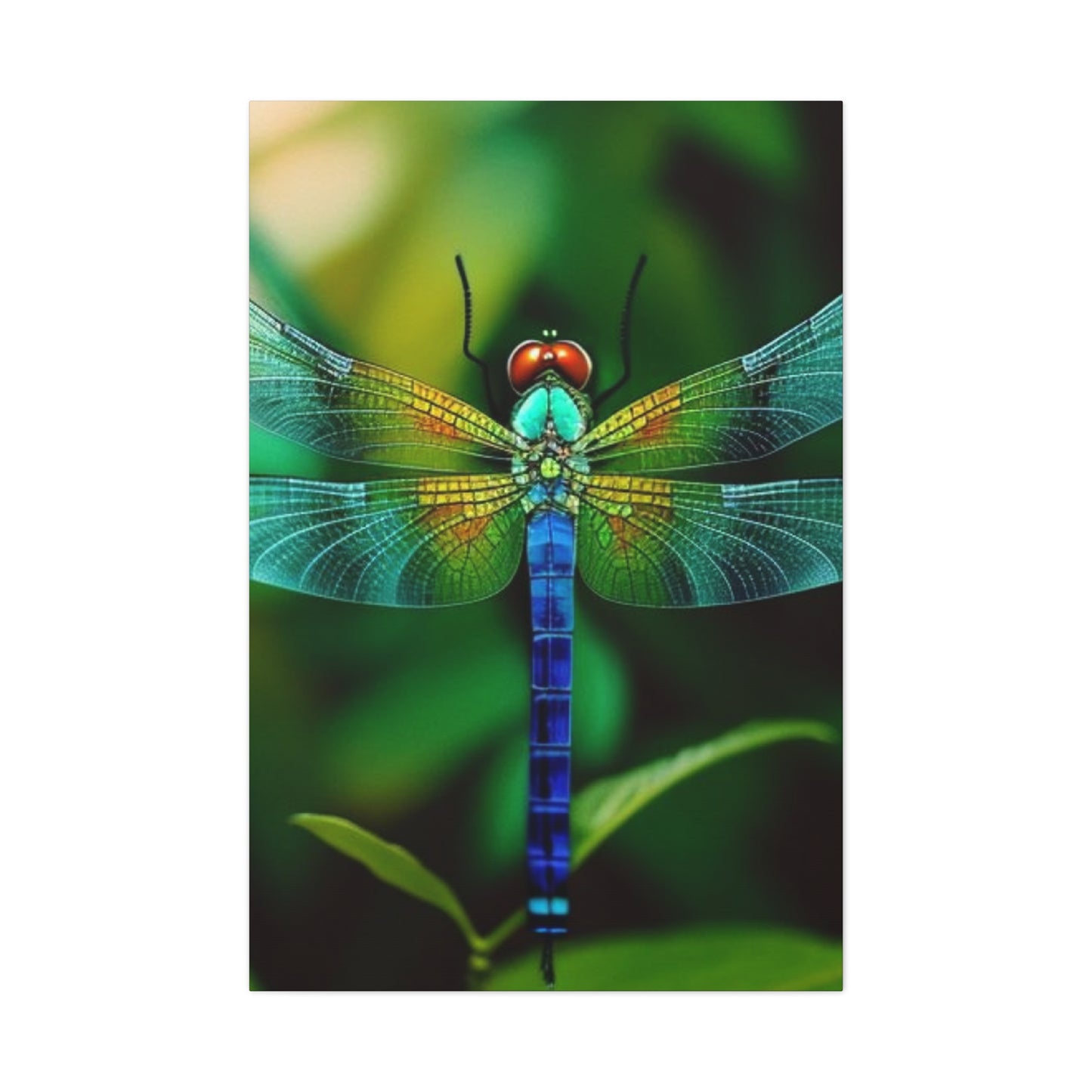 Dragonfly Top Closeup Wall Art & Canvas Prints