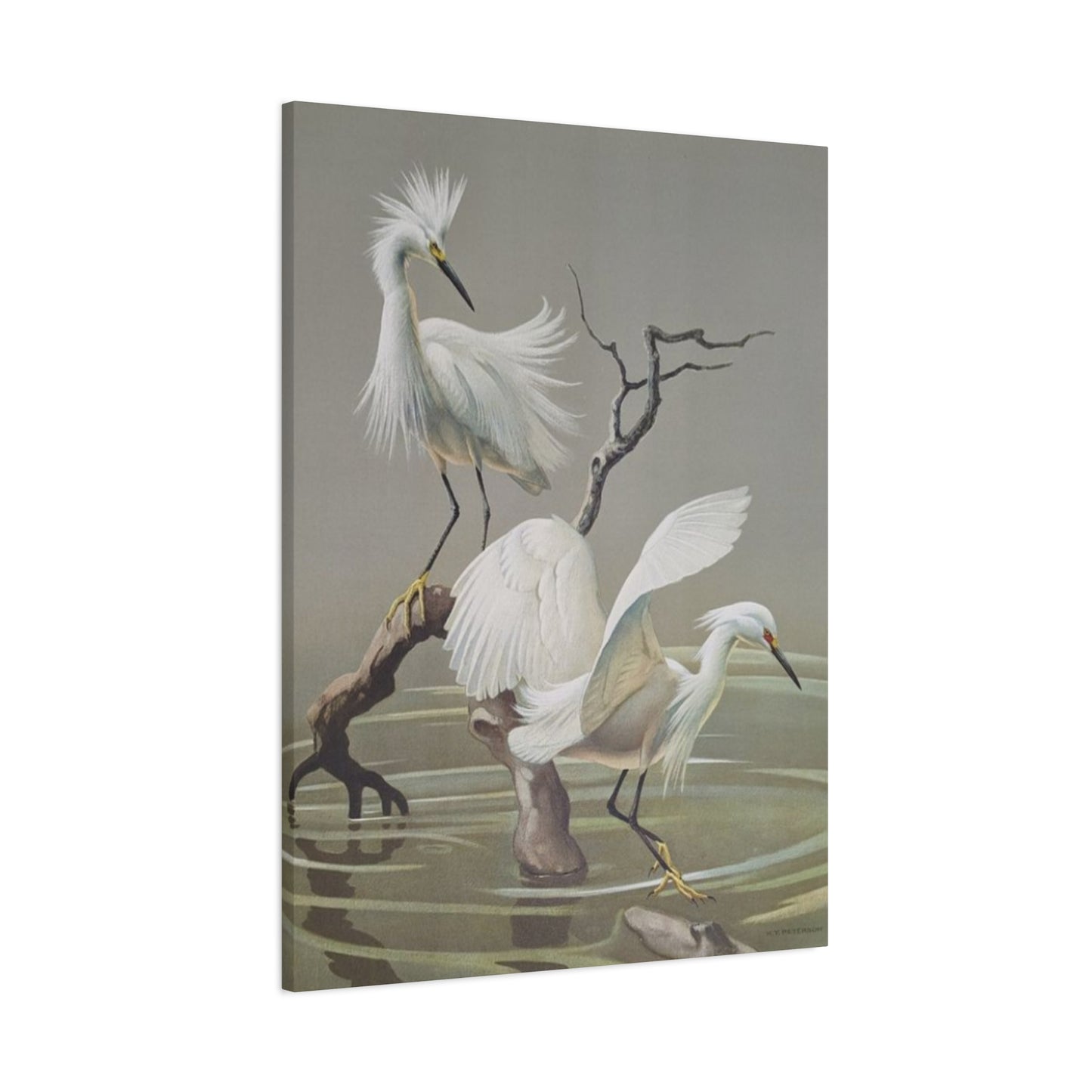 Beautiful Herons Photography Wall Art & Canvas Prints