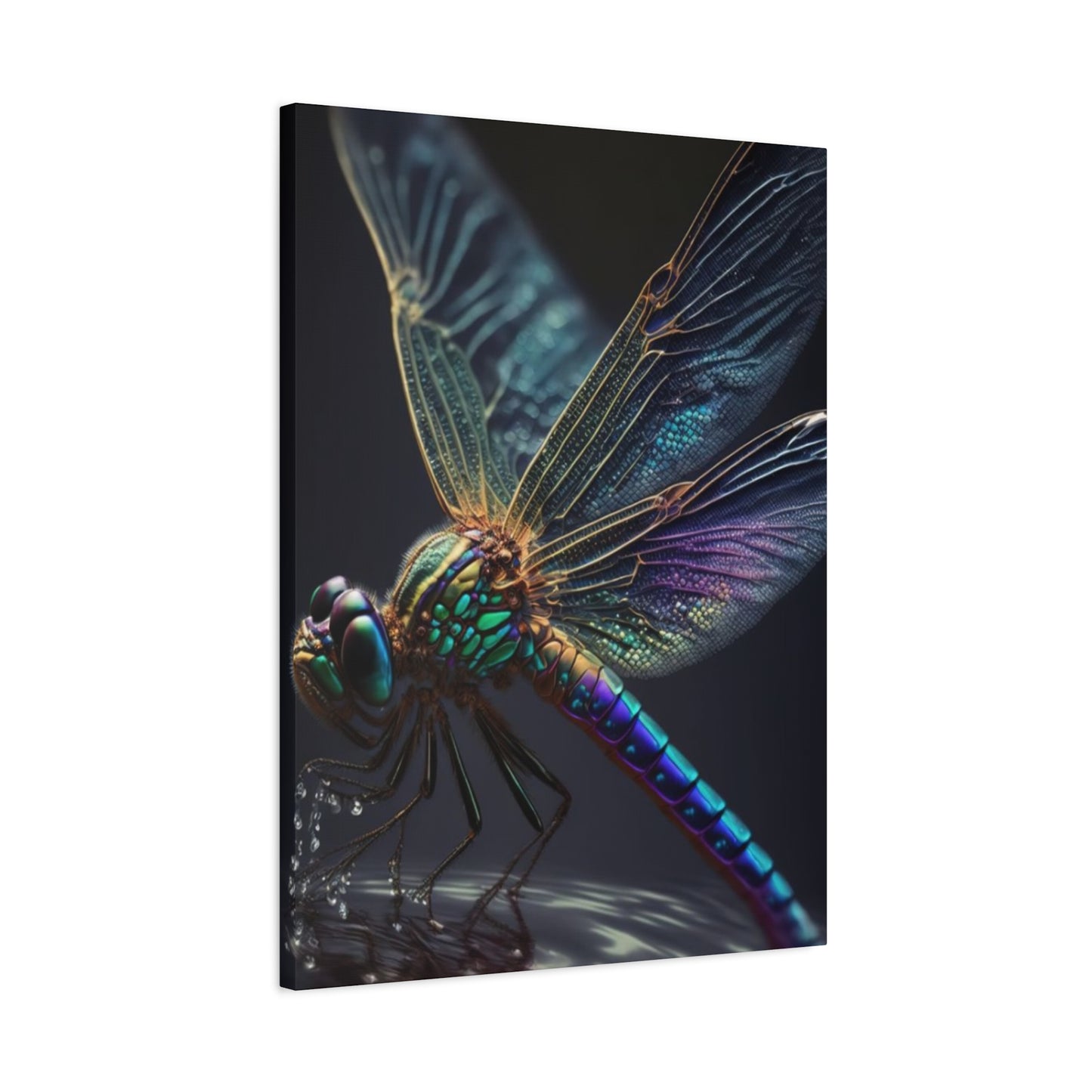 Dragonfly Closeup Wall Art & Canvas Prints