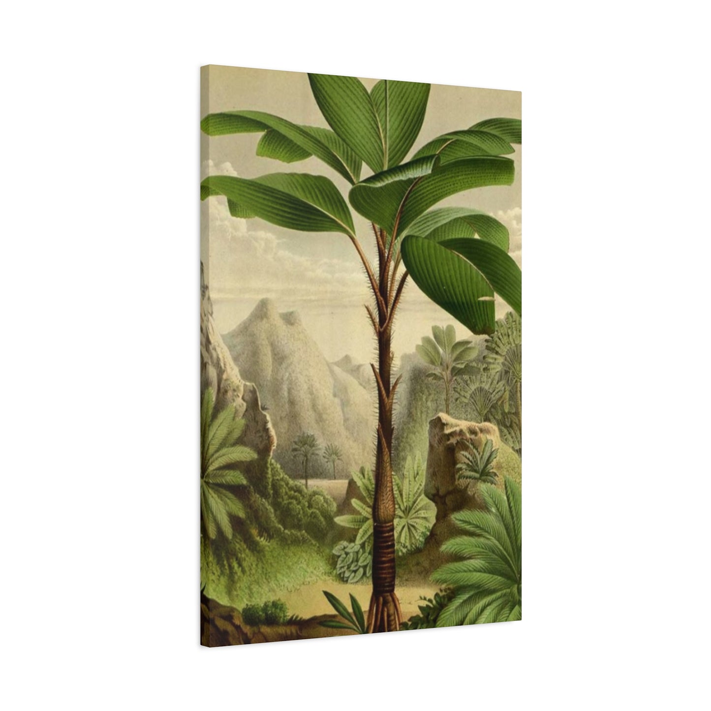 Palm Tree In The Forest Wall Art & Canvas Prints