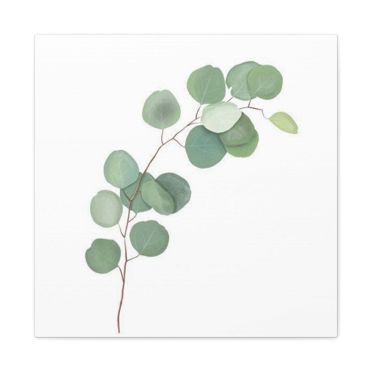 Eucalyptus Stem Wall Art & Canvas Prints