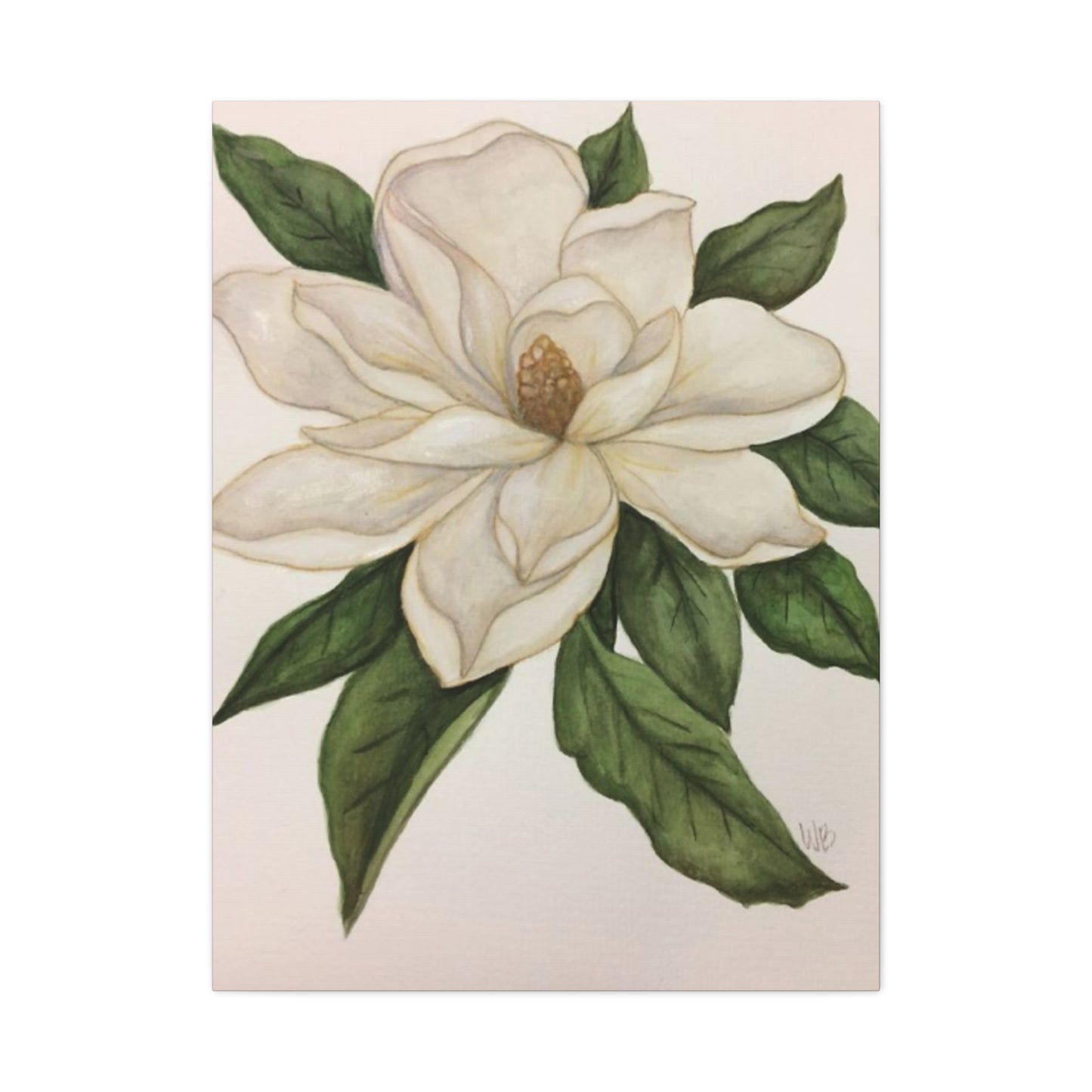 Beautiful White Magnolia Flower Drawing Wall Art & Canvas Prints