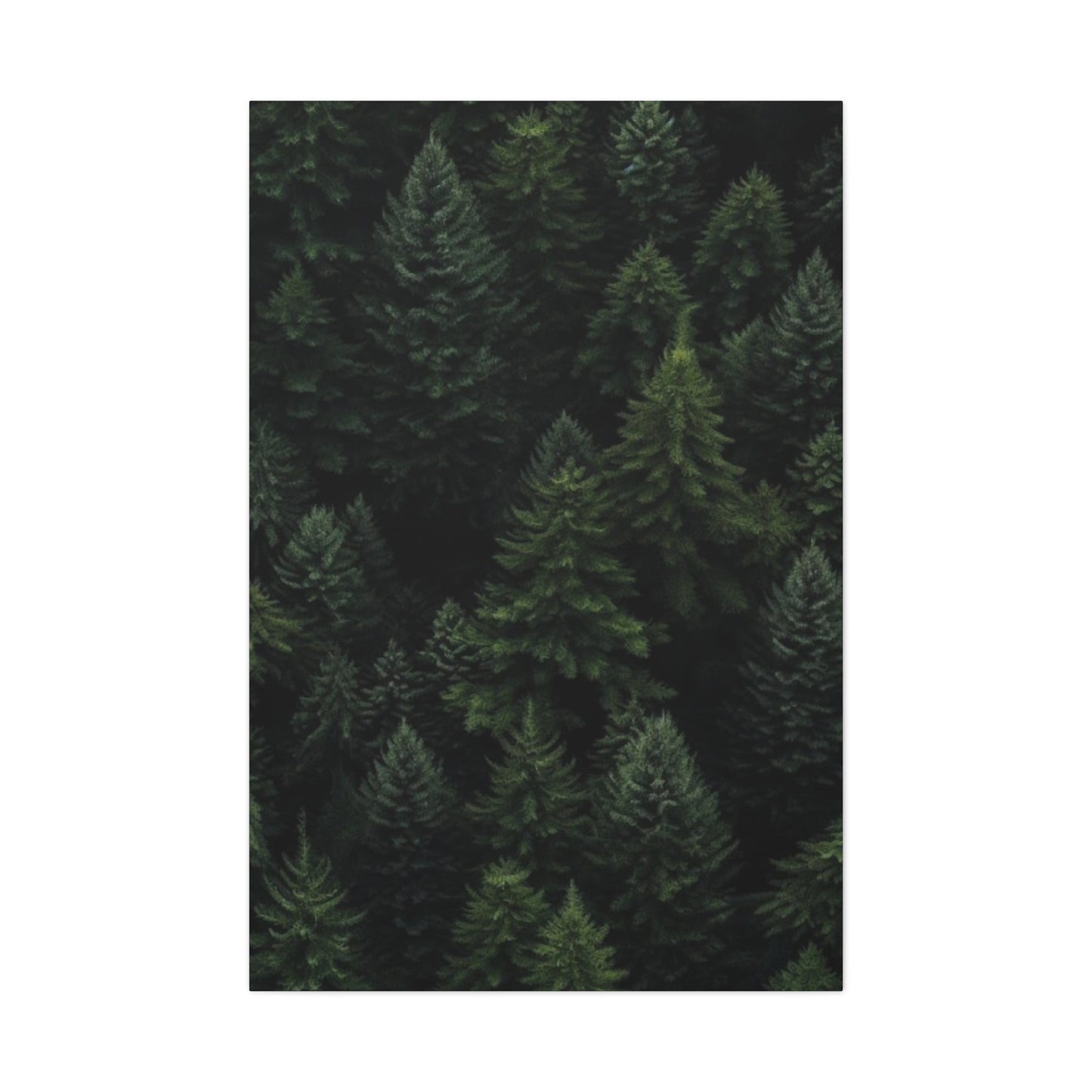 Tropical Pine Forest Wall Art & Canvas Prints