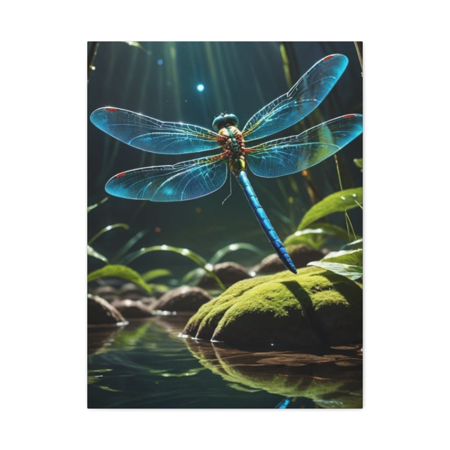 Colorful Dragonfly Wings Wall Art & Canvas Prints