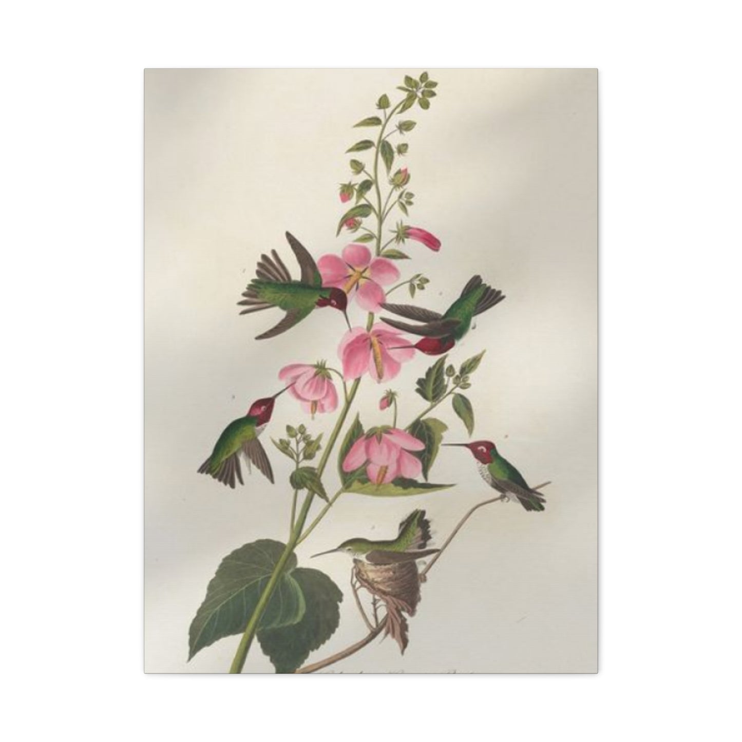 Humming Bird On Flower Painting Wall Art & Canvas Prints