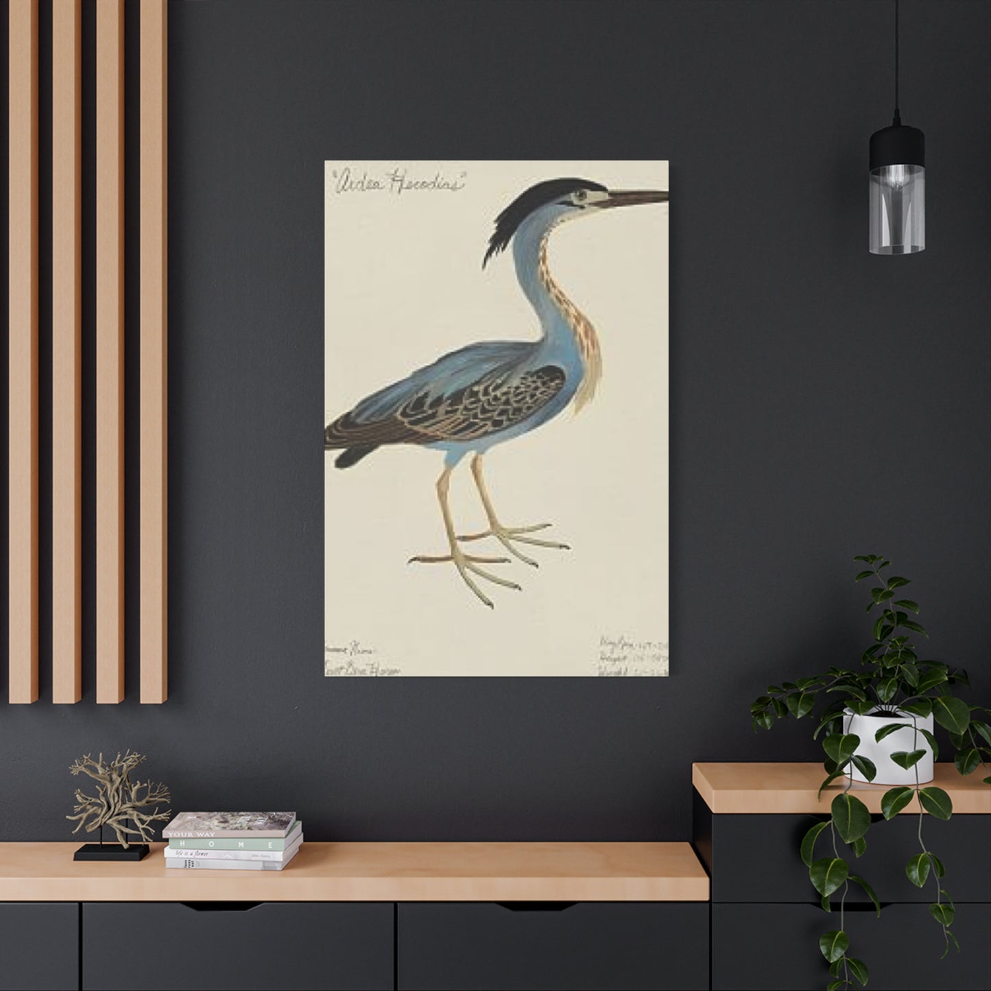 Small Pelican Painting Wall Art & Canvas Prints