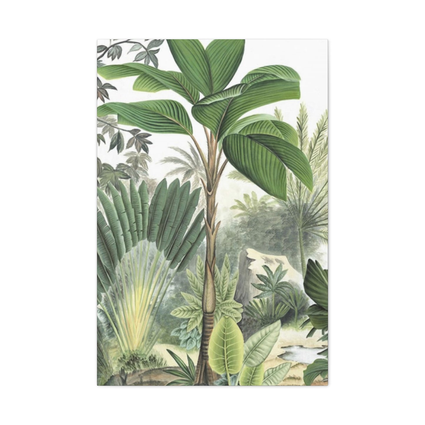 Palm Tree Green Leaves In Forest Wall Art & Canvas Prints