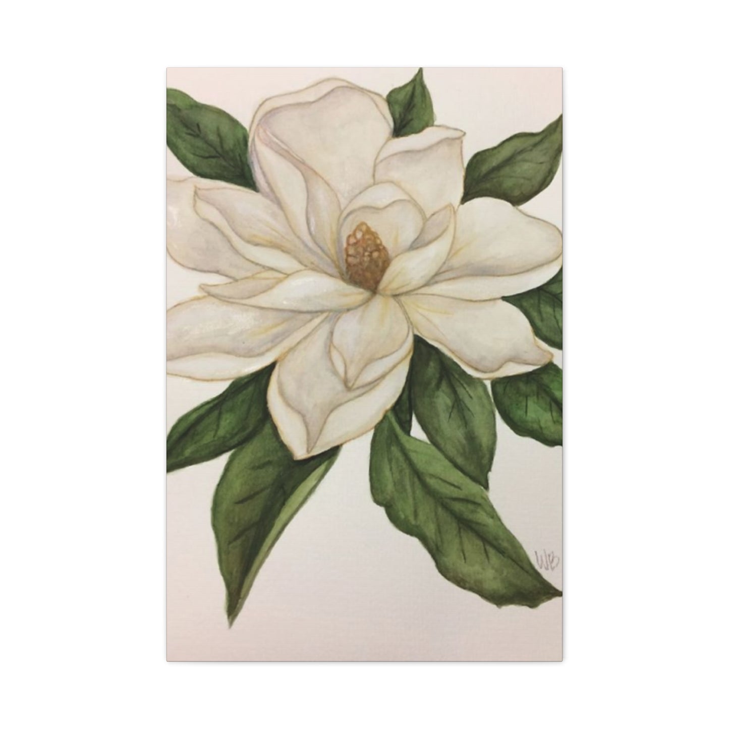 Beautiful White Magnolia Flower Drawing Wall Art & Canvas Prints