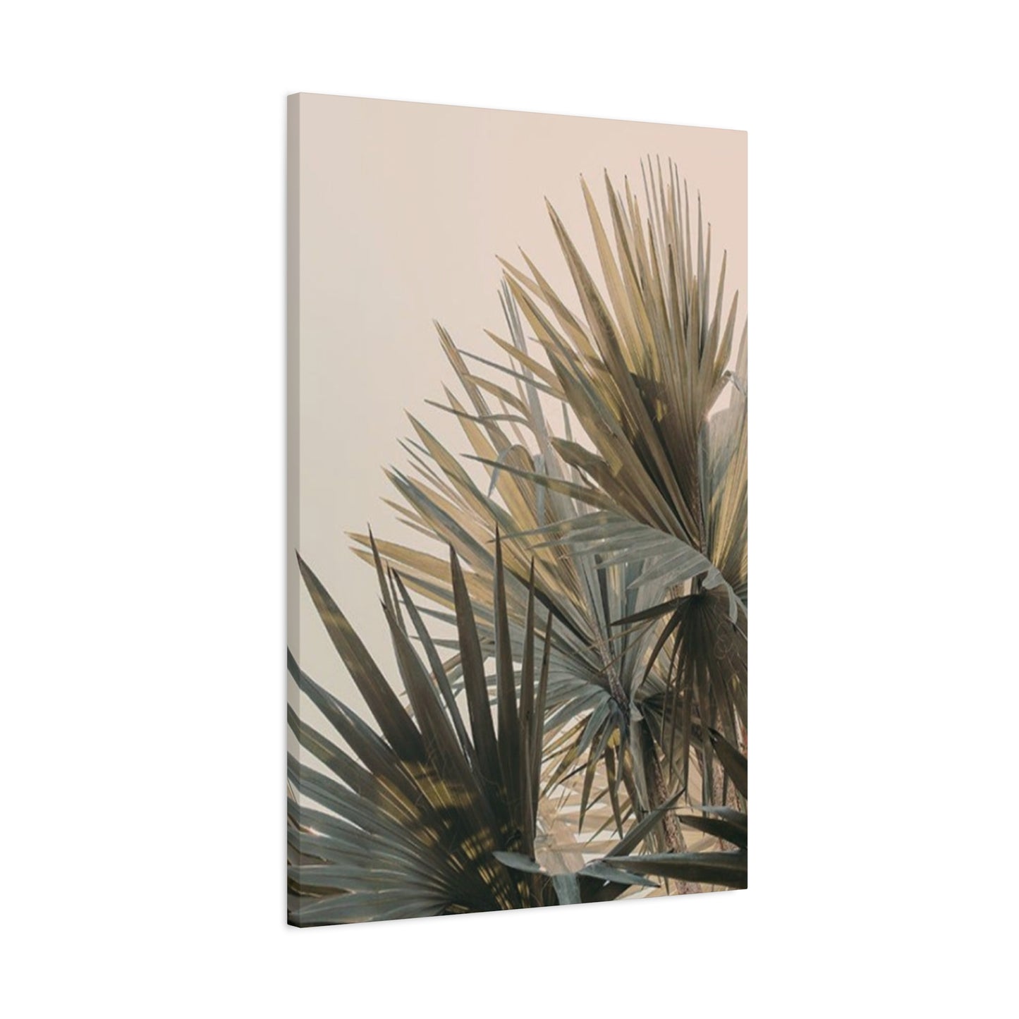 Palm Tree Leaves Close Up Wall Art & Canvas Prints